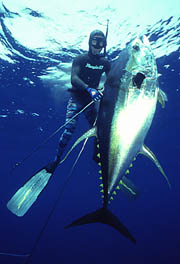 pic_fullfish.jpg (16690 bytes)