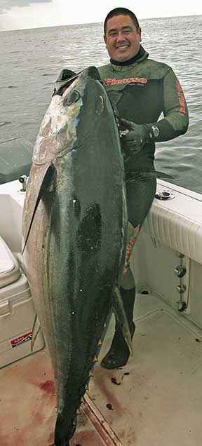 world record blackfin tuna