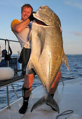 world record kingfish
