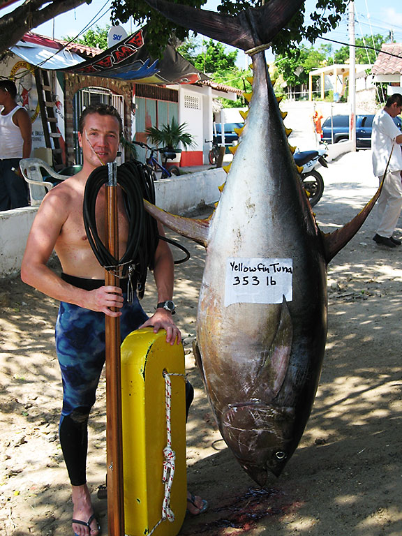 IBSRC yellowfin tuna record, spearfishing