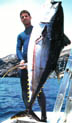Yellowfin tuna, Ron Mullins