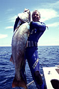 A speared white seabass on the boat--small picture
